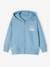 Zipped Jacket with Hood & Motif for Boys azure - vertbaudet enfant 