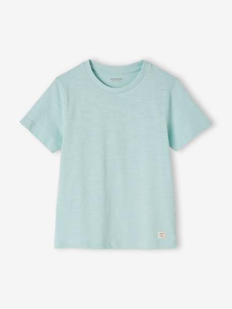 T-shirt garçon personnalisable manches courtes aubergine+blanc+BLEU+rouge+sauge+turquoise - vertbaudet enfant 