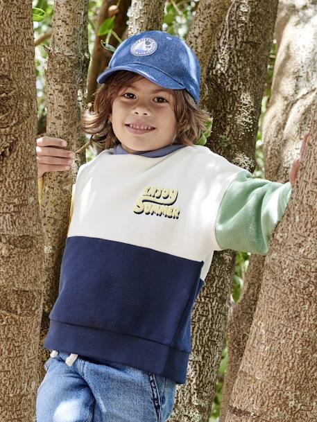 Hooded Colourblock Sweatshirt for Boys multicoloured - vertbaudet enfant 