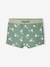 Gecko Swim Shorts for Baby Boys lichen - vertbaudet enfant 