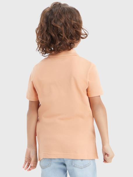 Polo Shirt by Levi's® for Boys almond green+orange - vertbaudet enfant 