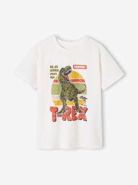 -Tee-shirt dinosaure garçon