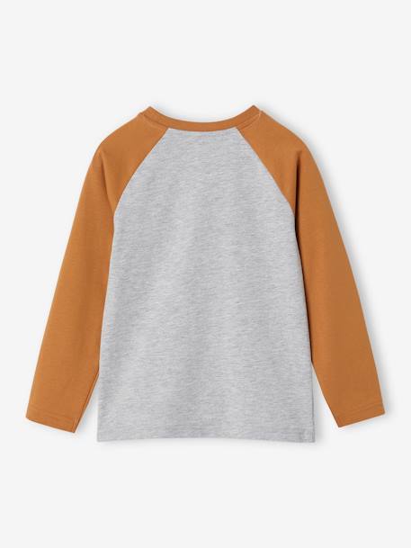 T-shirt motif graphique garçon manches raglan blanc chiné+kaki+lichen+noix de pécan - vertbaudet enfant 