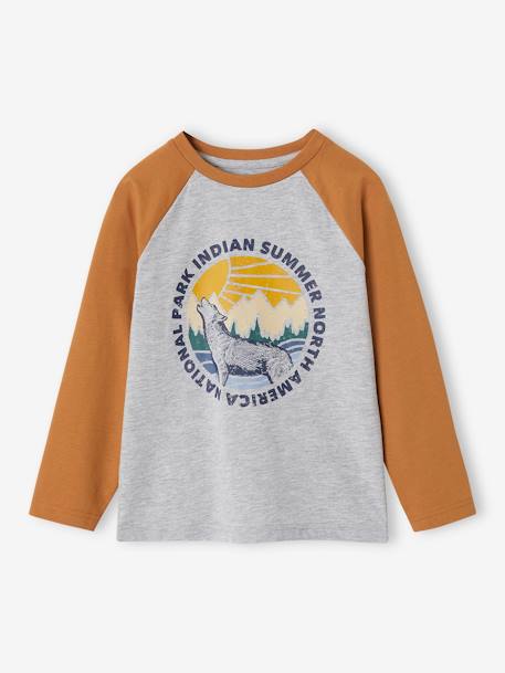T-shirt motif graphique garçon manches raglan blanc chiné+kaki+lichen+noix de pécan - vertbaudet enfant 