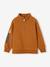 Sweat col camionneur sport garçon motif basket sur manche anthracite+noisette - vertbaudet enfant 