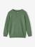 Pull garçon col tunisien vert chiné - vertbaudet enfant 