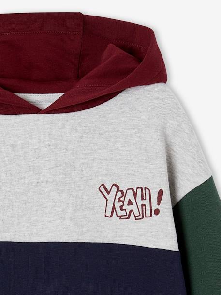 Sweat à capuche colorblock garçon multicolore - vertbaudet enfant 