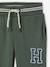 Pantalon garçon jogging sport en molleton lichen+marine - vertbaudet enfant 