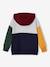 Sweat à capuche colorblock garçon multicolore - vertbaudet enfant 