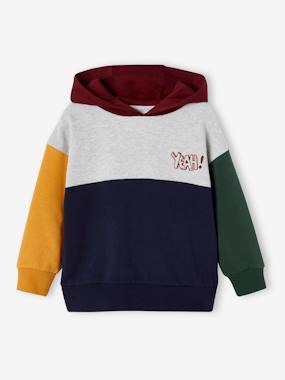 Garçon-Sweat à capuche colorblock garçon