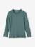Lot de 3 tee-shirt à côtes manches longues garçon vert émeraude - vertbaudet enfant 