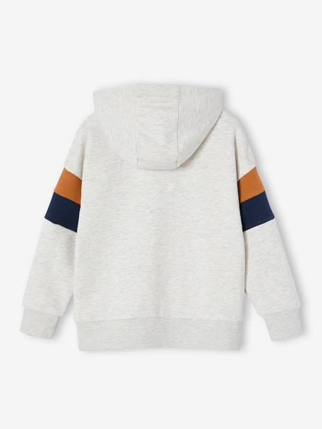 Hoodie with Graphic Motif & Colourblock Sleeves for Boys lichen+marl white - vertbaudet enfant 