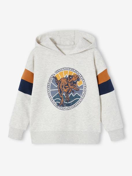 Hoodie with Graphic Motif & Colourblock Sleeves for Boys lichen+marl white - vertbaudet enfant 