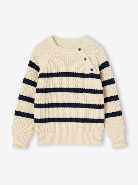 Pull garçon rayé bleu moyen+caramel+écru+encre+vert sauge - vertbaudet enfant 