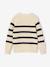 Pull garçon rayé bleu moyen+caramel+écru+encre+vert sauge - vertbaudet enfant 