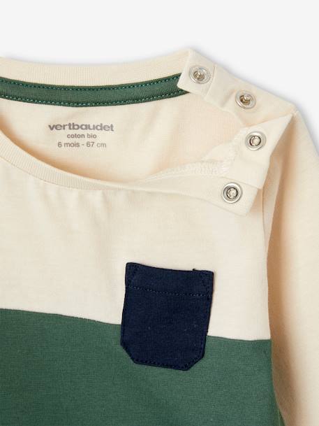 Colourblock Top in Organic Cotton for Babies fir green - vertbaudet enfant 