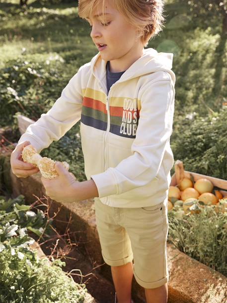 Sweat garçon zippé à capuche animation rayures Beige chiné+bleu nuit - vertbaudet enfant 