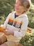 Sweat garçon zippé à capuche animation rayures Beige chiné+bleu nuit - vertbaudet enfant 
