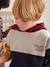 Sweat à capuche colorblock garçon multicolore - vertbaudet enfant 