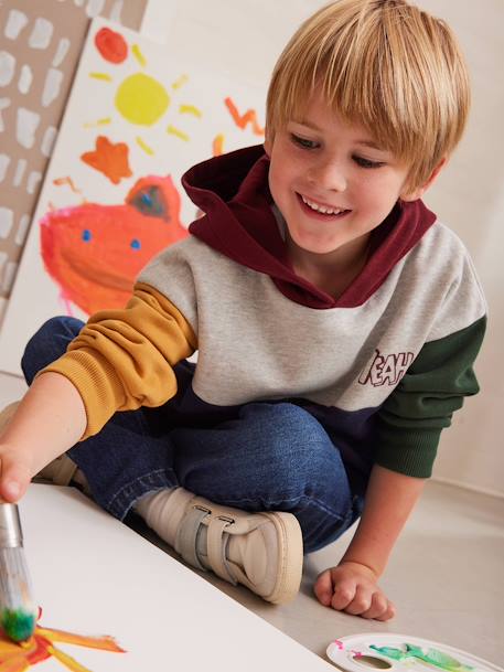 Sweat à capuche colorblock garçon multicolore - vertbaudet enfant 