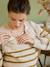 Nautical Style Jumper with Shoulder Openings for Maternity & Nursing marl beige+navy blue - vertbaudet enfant 