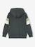 Hoodie with Graphic Motif & Colourblock Sleeves for Boys lichen+marl white - vertbaudet enfant 
