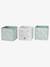 Set of 3 Storage Boxes, In the Woods sage green - vertbaudet enfant 