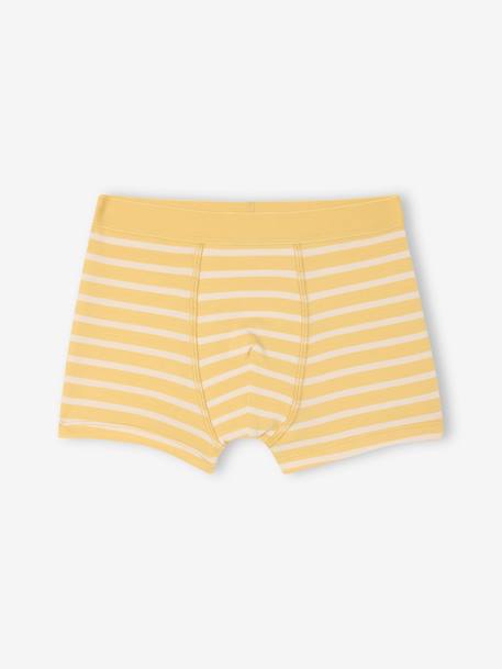 Lot de 5 boxers stretch garçon bleu ciel - vertbaudet enfant 