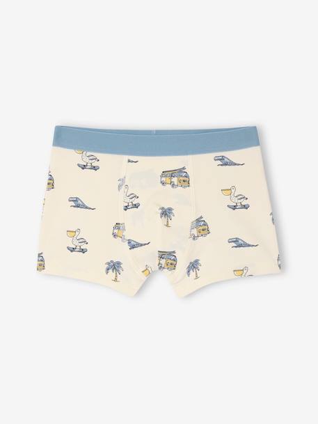Lot de 5 boxers stretch garçon bleu ciel - vertbaudet enfant 
