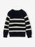 Pull garçon rayé bleu moyen+caramel+écru+encre+vert sauge - vertbaudet enfant 