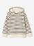 Striped hooded sweatshirt for boys navy blue - vertbaudet enfant 