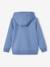 Sweat garçon zippé à capuche motif poitrine blanc chiné+bleu chambray+ocre+rouge+turquoise - vertbaudet enfant 