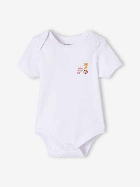 Lot de 5 bodies bébé garçon manches courtes coffret cadeau bleu - vertbaudet enfant 