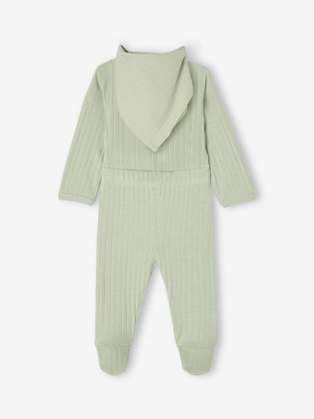 Baby body, leggings and scarf set sage green - vertbaudet enfant 