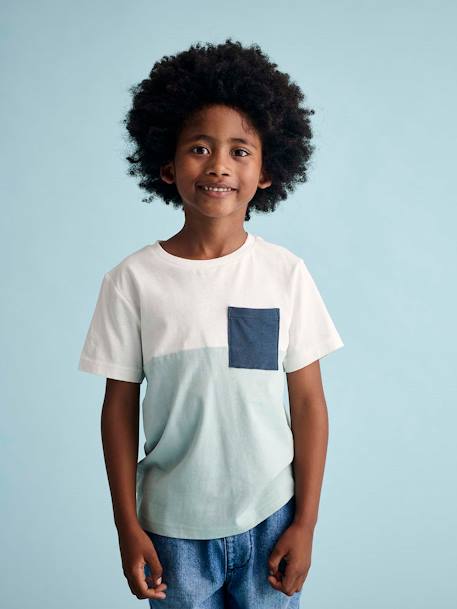 T-shirt garçon coloblock manches courtes ardoise+menthe+orange+vert anglais - vertbaudet enfant 