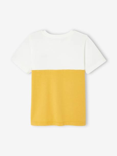 T-shirt garçon coloblock manches courtes ardoise+menthe+ocre+orange+vert anglais - vertbaudet enfant 