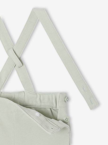 Occasion Wear Outfit: Shirt & Shorts for Babies beige+sage green - vertbaudet enfant 