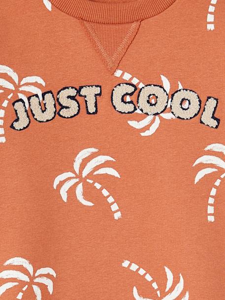 Boys' printed sweatshirt tomato red - vertbaudet enfant 
