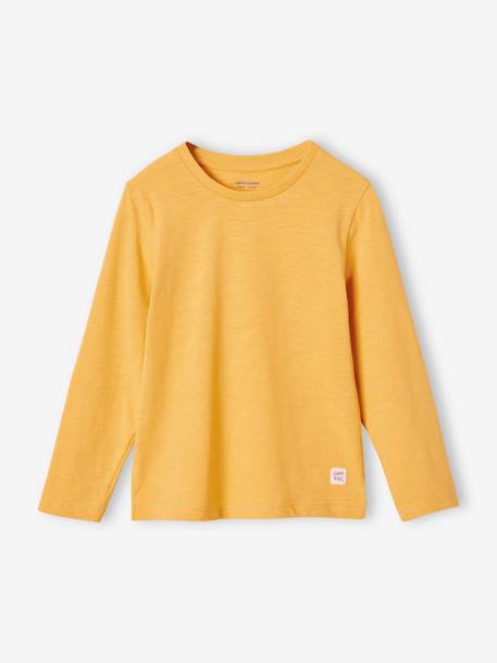 T-shirt garçon unis manches longues personnalisable anthracite+BLEU+jaune+marine+vert grisé+vert sapin - vertbaudet enfant 