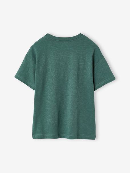 Nature print T-shirt for boys lichen+terracotta - vertbaudet enfant 
