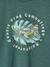 Nature print T-shirt for boys lichen+terracotta - vertbaudet enfant 