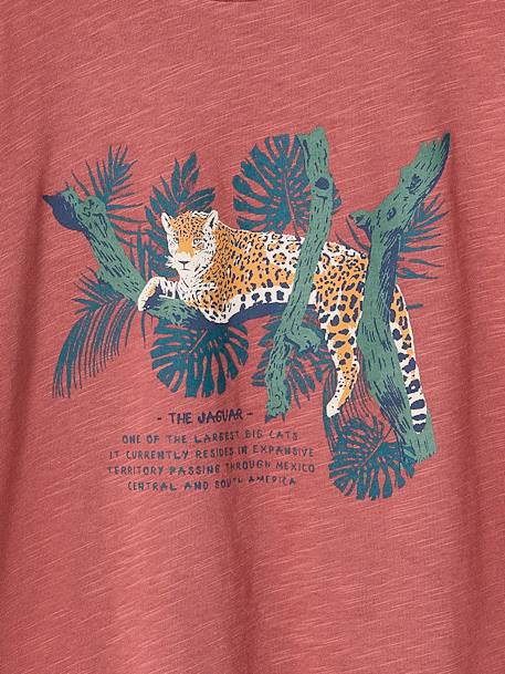 Nature print T-shirt for boys lichen+terracotta - vertbaudet enfant 
