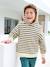 Striped hooded sweatshirt for boys navy blue - vertbaudet enfant 