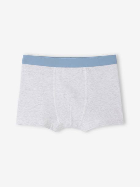 Pack of 5 POKEMON® Pikachu Boxer Shorts sky blue - vertbaudet enfant 