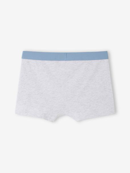 Pack of 5 POKEMON® Pikachu Boxer Shorts sky blue - vertbaudet enfant 