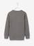 PJ Masks® Printed Sweatshirt for Boys GREY MEDIUM MIXED COLOR - vertbaudet enfant 