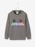 PJ Masks® Printed Sweatshirt for Boys GREY MEDIUM MIXED COLOR - vertbaudet enfant 