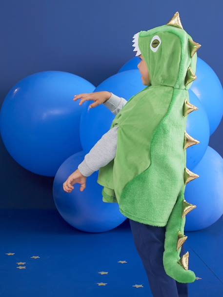 Déguisement dinosaure VERT - vertbaudet enfant 