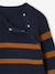 Pull garçon rayé bleu moyen+caramel+écru+encre+vert sauge - vertbaudet enfant 