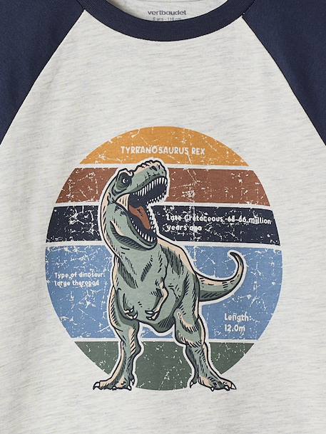 T-shirt motif graphique garçon manches raglan blanc chiné+kaki+lichen+noix de pécan - vertbaudet enfant 
